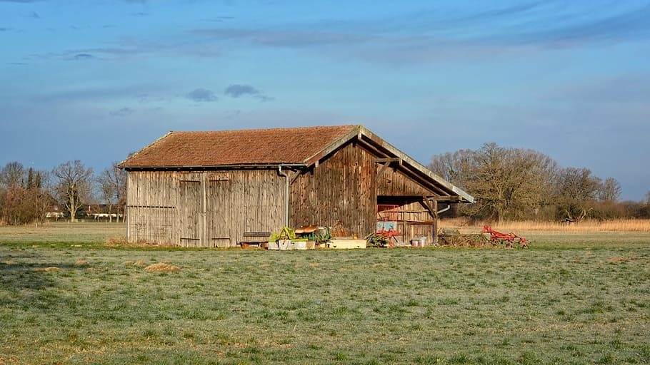 barn, hut, log cabin, nature, field, meadow, vacation, field barn, HD wallpaper