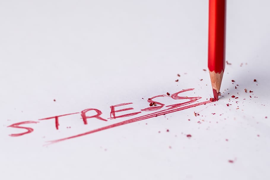 shallow focus photography of red pencil with stress text, chip HD wallpaper