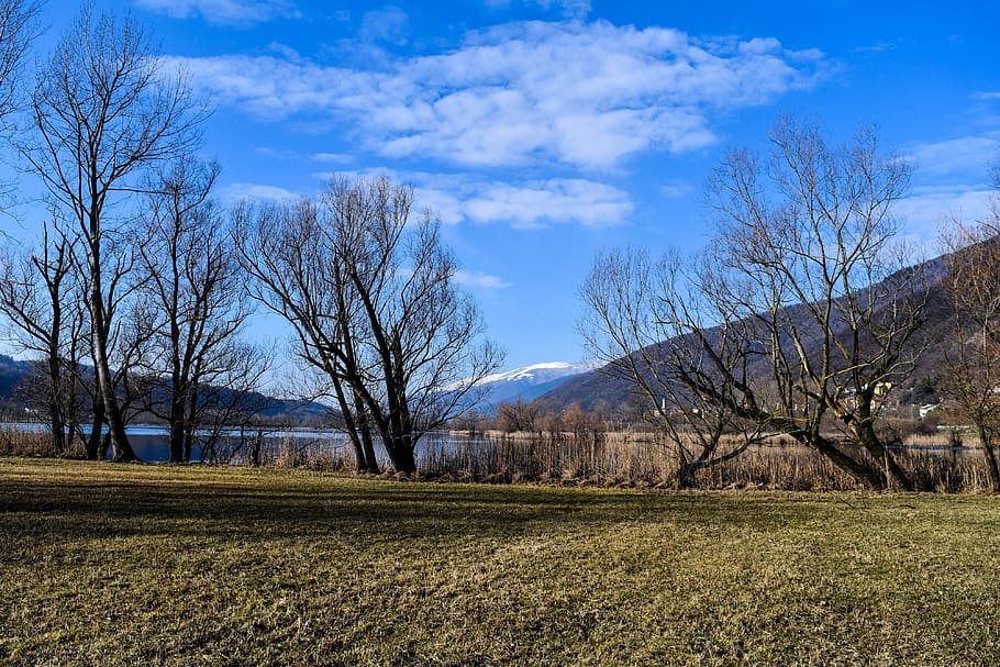 nature, landscape, panoramic, tree, sky, trees, revine lago HD wallpaper