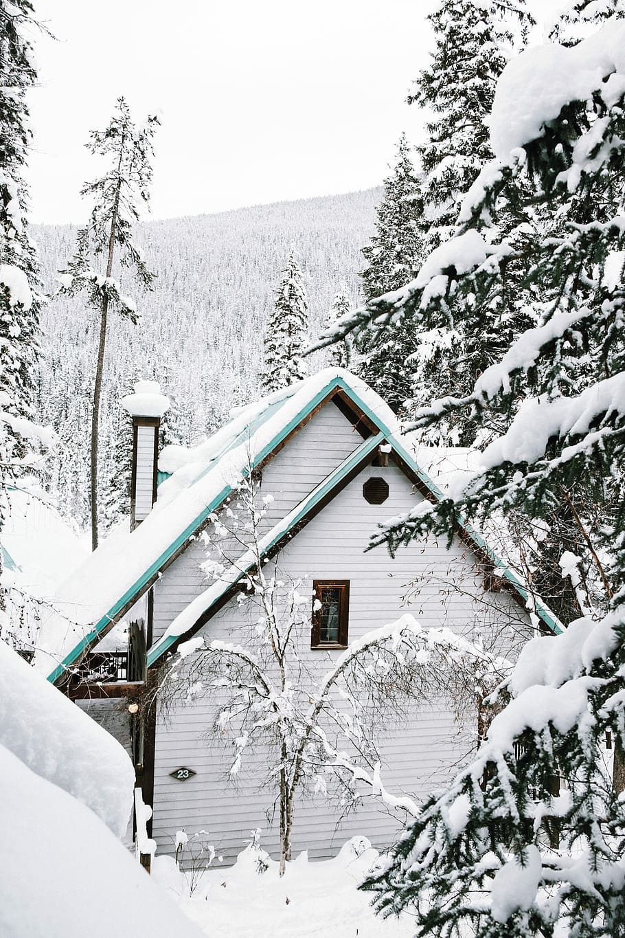 white wooden house near trees covered with snow, landscape photo of house with snow HD wallpaper