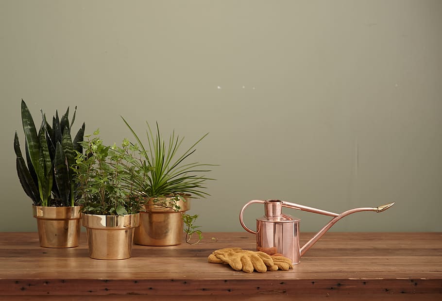 brass-colored garden water can on brown table, Swedish Polished Brass Planter, HD wallpaper