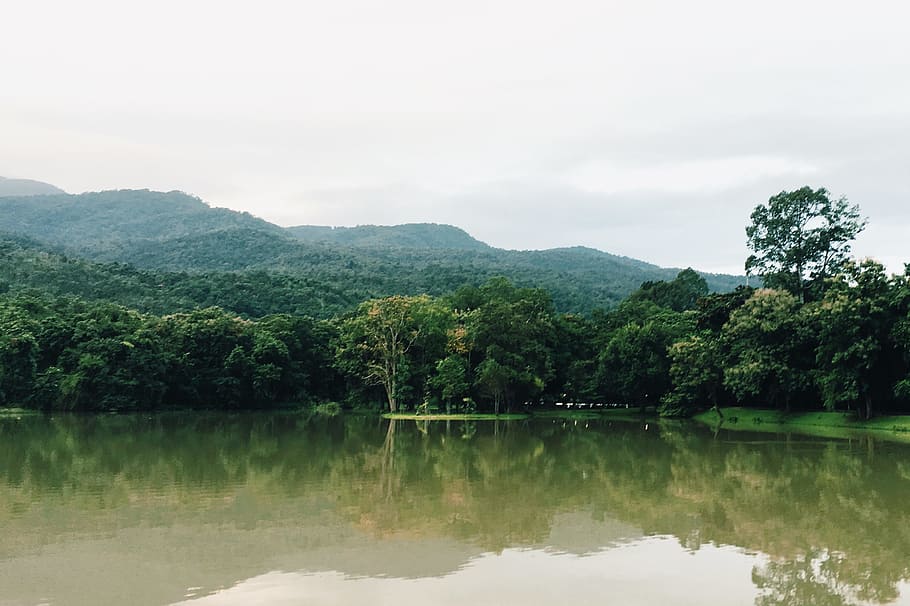 wood, dawn, landscape, nature, calm waters, clouds, daylight HD wallpaper