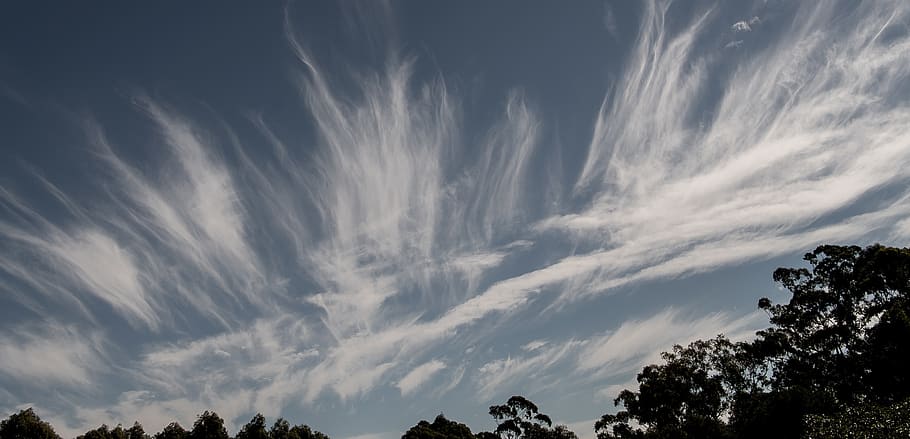 clouds, white, blue, fluffy, delicate, pattern, sky, cloudscape HD wallpaper
