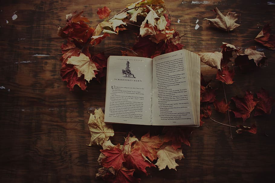 opened book surrounded with maple leaves on brown surface, opened page of book surrounded by maple leaves HD wallpaper