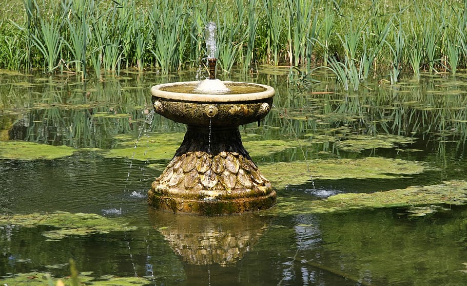 fountain, pond, park, water, reflection, lake, waterfront, plant HD wallpaper