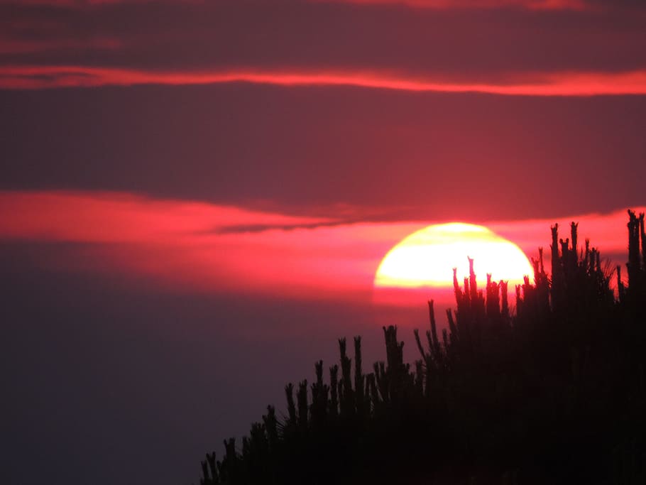 sunset, trieste, italy, sky, scenics - nature, beauty in nature HD wallpaper