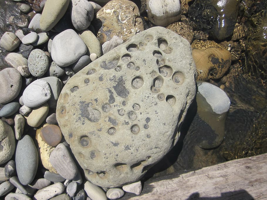 rock, beach, weathered, coast, northern california, ocean, stone HD wallpaper