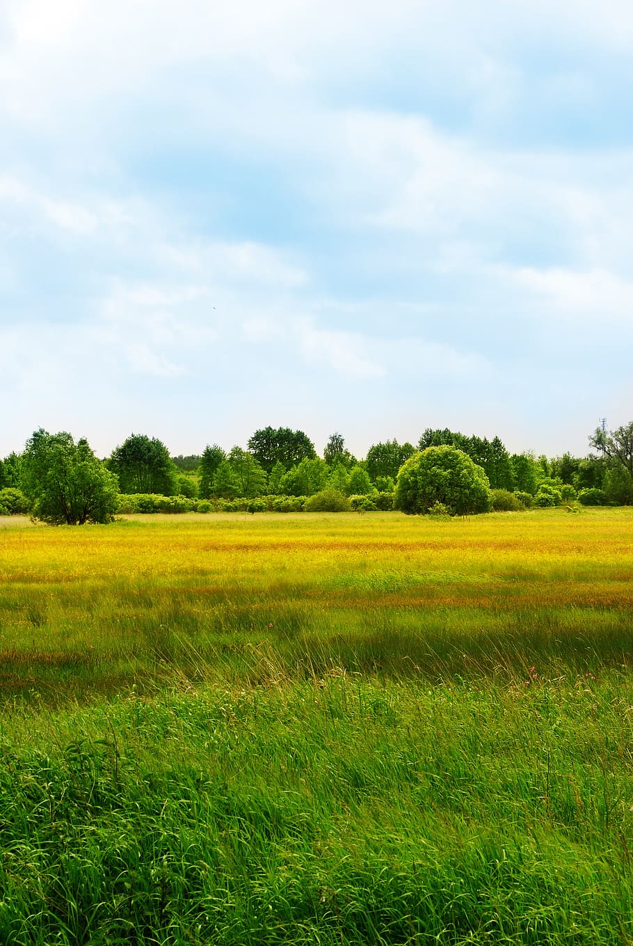 spring, yellow, landscape, summer, grass, green, clouds, sky HD wallpaper