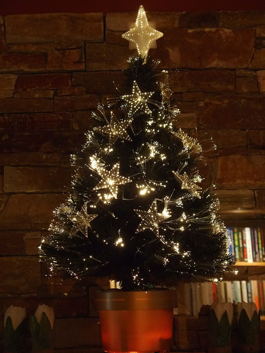 christmas tree, sapling, christmas time, light, ornament, celebration HD wallpaper