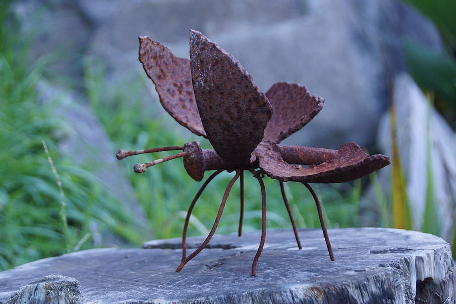 rustic, butterfly, nature, natural, close-up, focus on foreground HD wallpaper