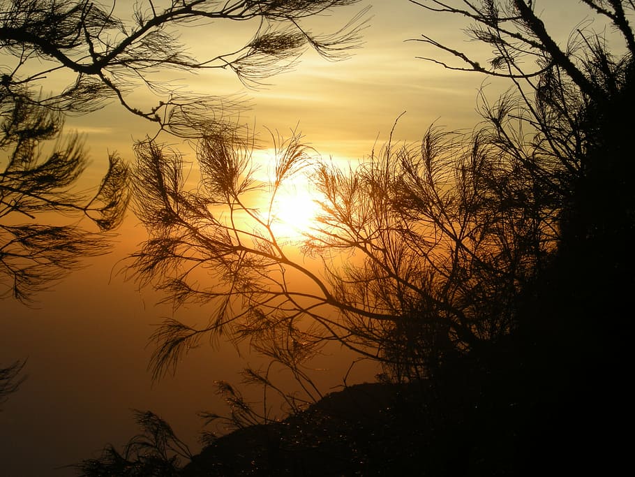 sunrise nature shadows silhouette