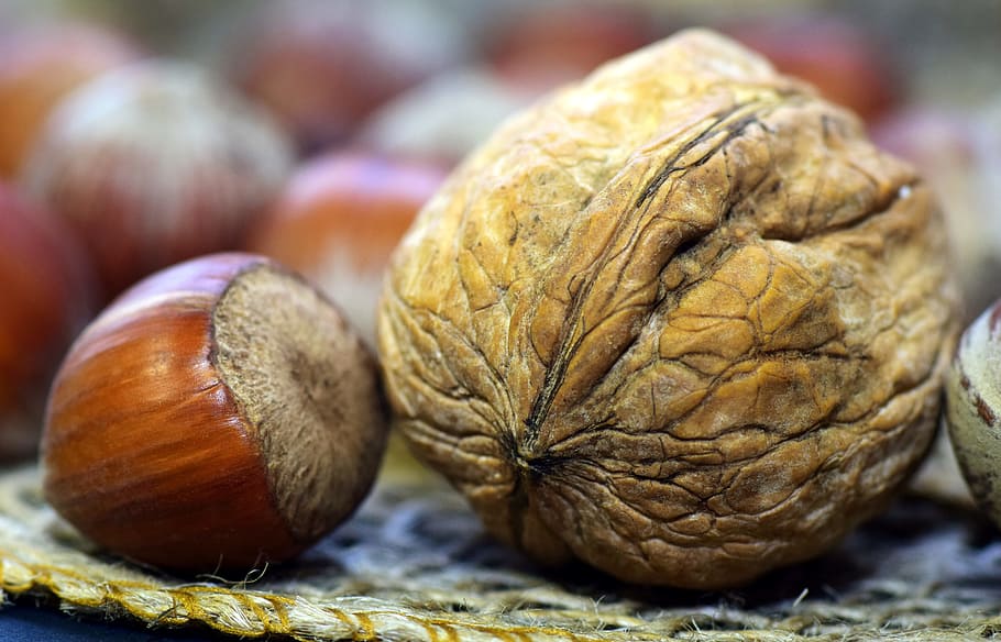 almond and wallnuts, walnut, hazelnut, shell, nutshell, healthy HD wallpaper