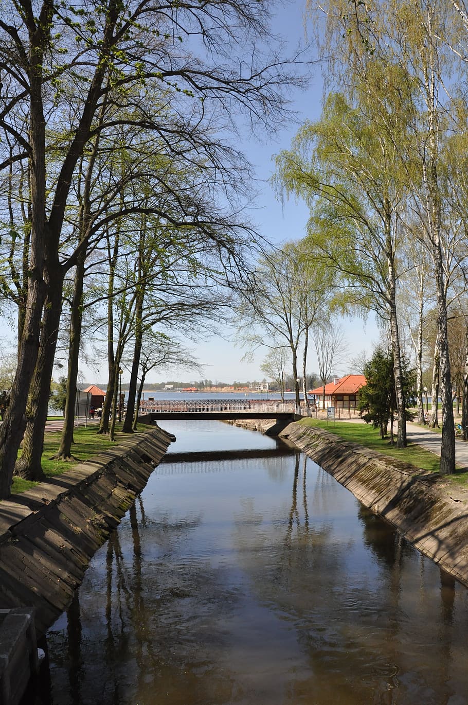 Lake, Park, Tree, Spring, Bridge, the brook, ostróda, poland HD wallpaper