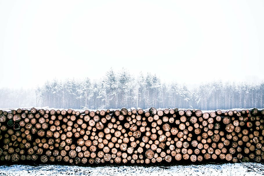 pile of firewood near snow, lumber, winter, trunk, log, timber, HD wallpaper