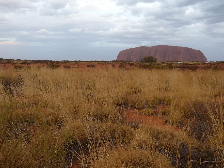 grassland near brown mountain, uluru, ayers rock, australia HD wallpaper