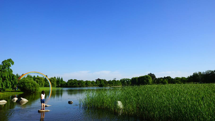 klitschko, whether or not, water, sky, plant, lake, tranquility HD wallpaper