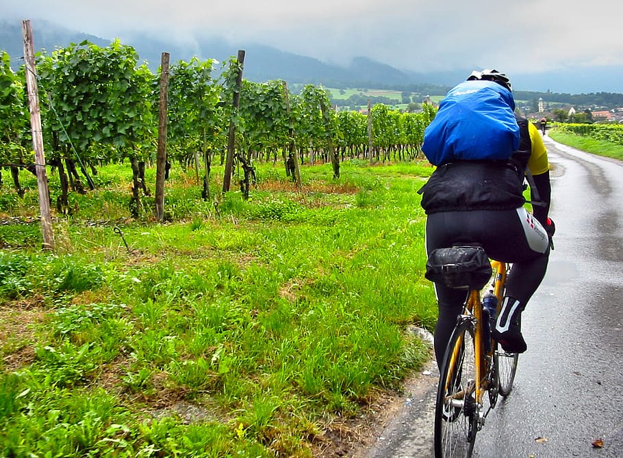 road bike, cyclists, rain, vineyards, backpack, landscape, rhine valley, HD wallpaper