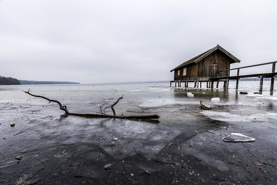brown tree branch, ammersee, boat house, frozen, water, lake, HD wallpaper