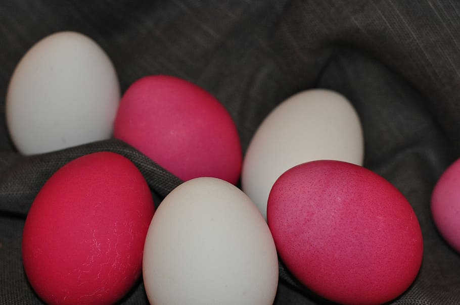 easter, eggs, paint, food, food and drink, close-up, multi colored HD wallpaper