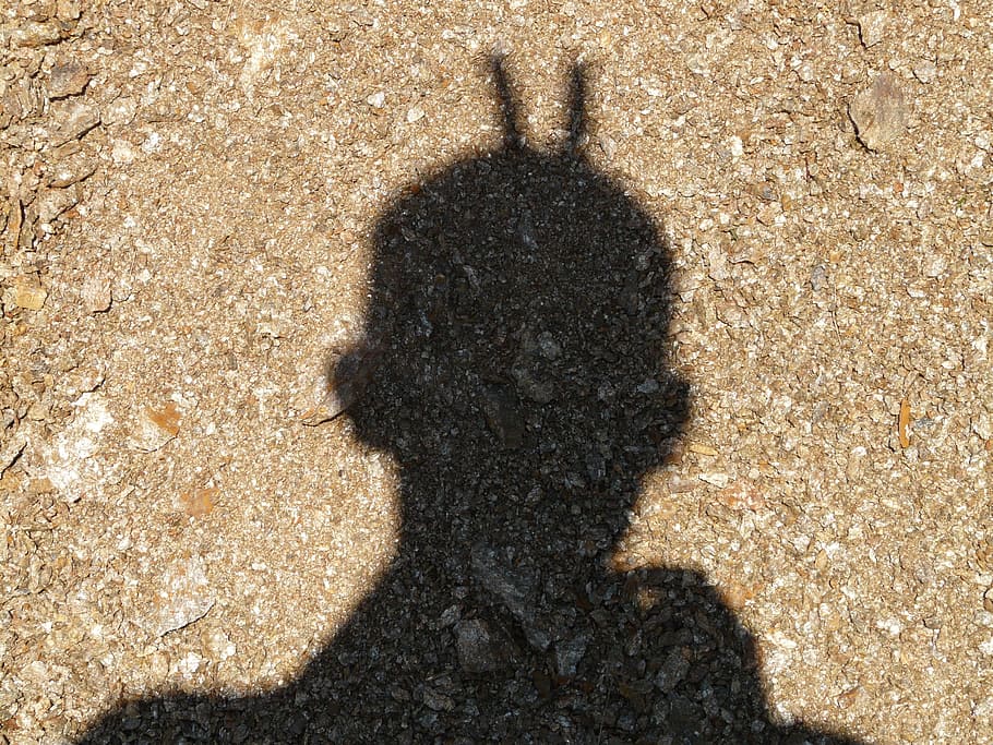Shadow Play, Human, Person, teufelchen, croissant, fun, joke HD wallpaper