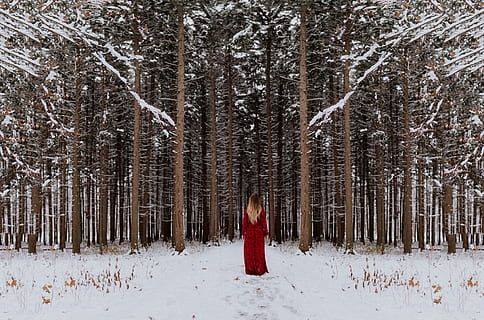 woman in red long dress stands in snow covered field in front of trees HD wallpaper