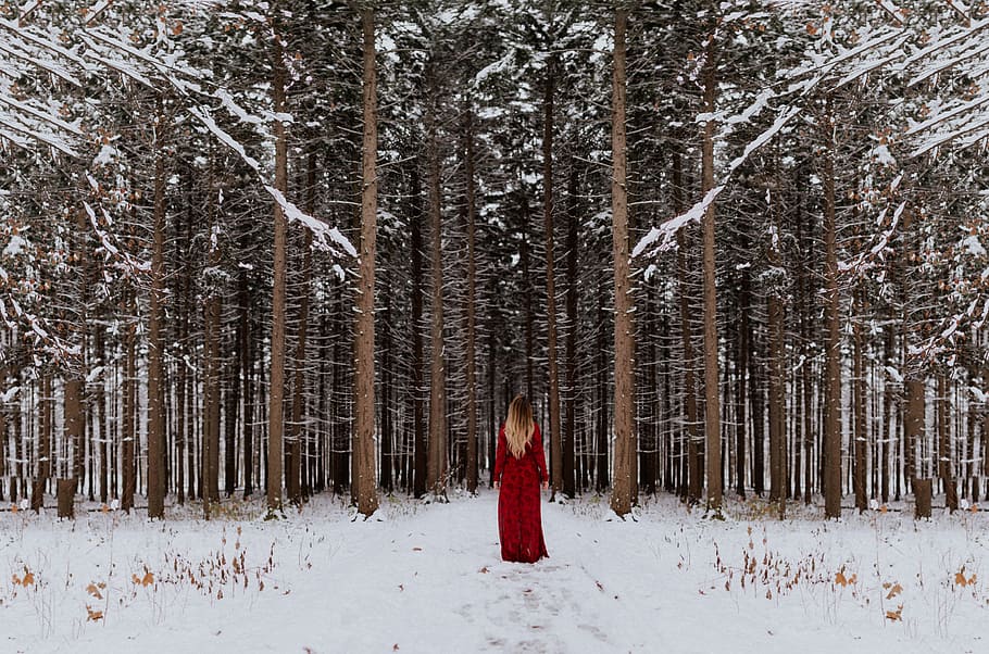 woman in red long dress stands in snow covered field in front of trees HD wallpaper