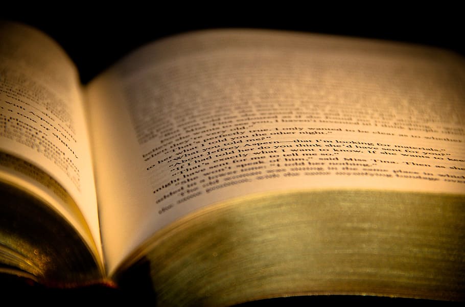 opened book, page, read, education, literature, textbook, reading HD wallpaper