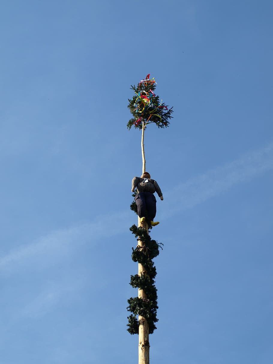 Maypole, Tradition, Old, 1, need old, log, decorated, sky, nature HD wallpaper
