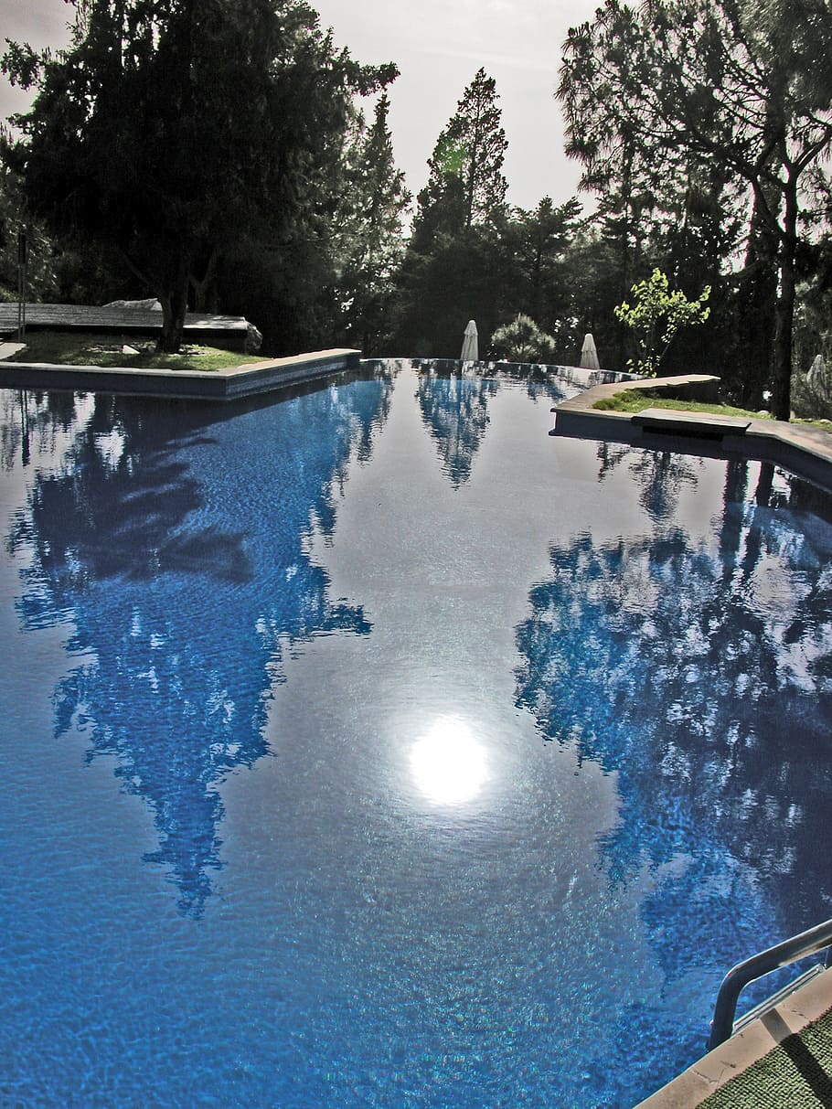 pool, water, mirroring, reflection, tree, swimming pool, nature HD wallpaper
