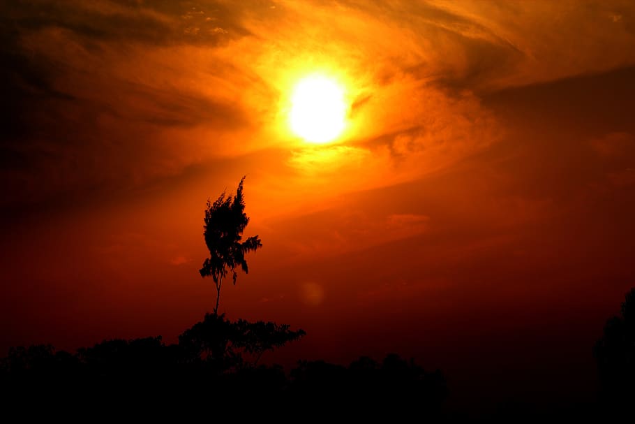 sunset, dusk, evening, dawn, sky, beauty in nature, cloud - sky HD wallpaper