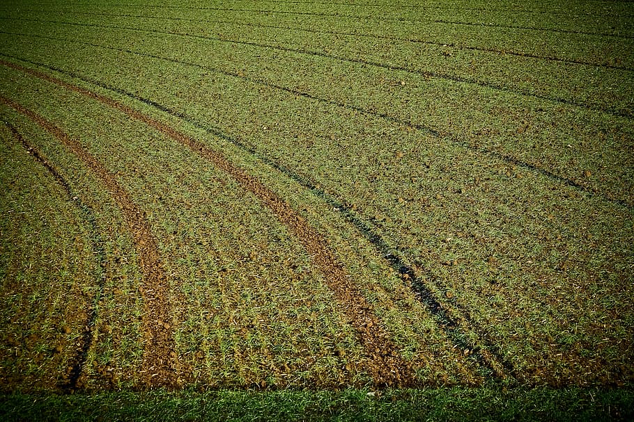 landscape, field, nature, arable, agriculture, ground, arable land HD wallpaper