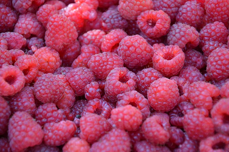 raspberry, fruits, fresh, red, vitamins, healthy, sweet, food HD wallpaper