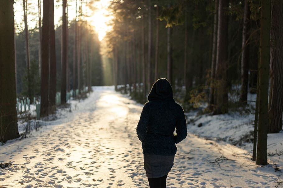 woman walking on snowfield pathway, person walking on pathway between trees HD wallpaper
