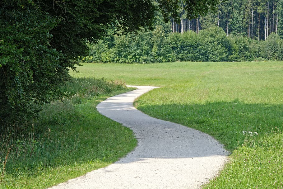 away, forest, forest path, nature, trees, trail, forest road HD wallpaper
