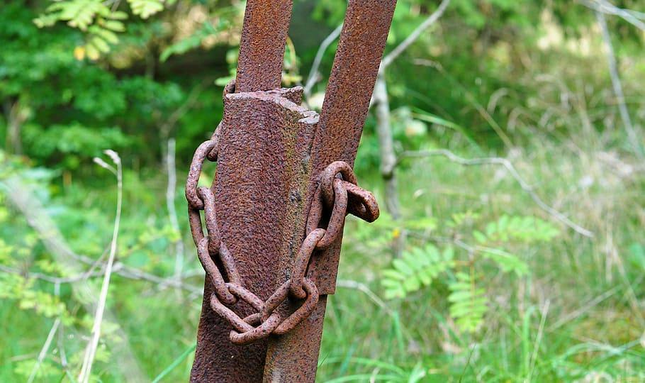 rust, steel, chain, plant, focus on foreground, no people, day HD wallpaper