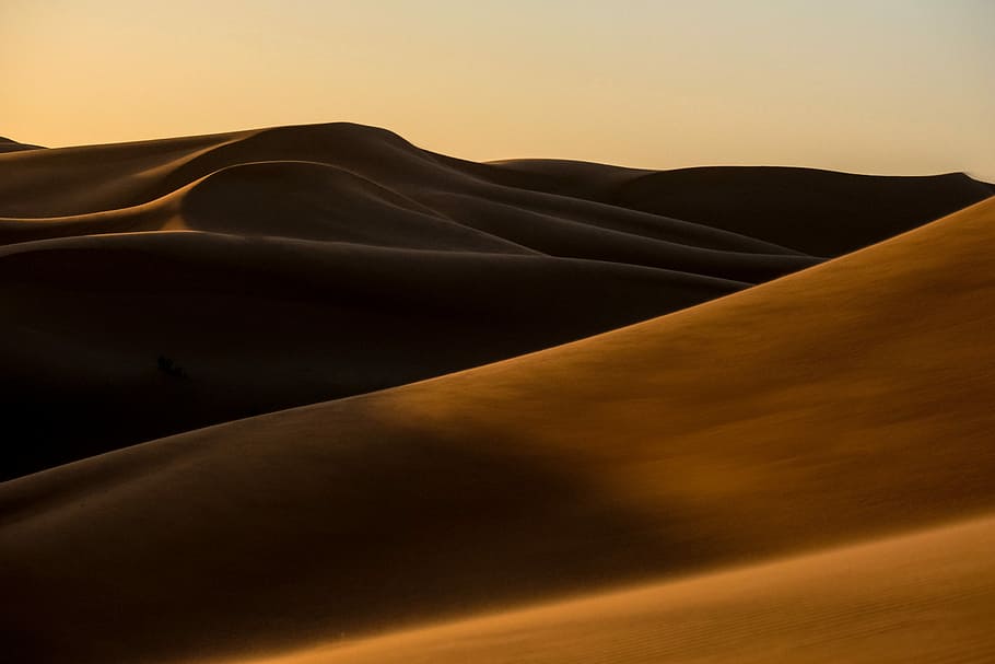 desert during sunset, sand dunes at daytime, sunlight, shadow HD wallpaper