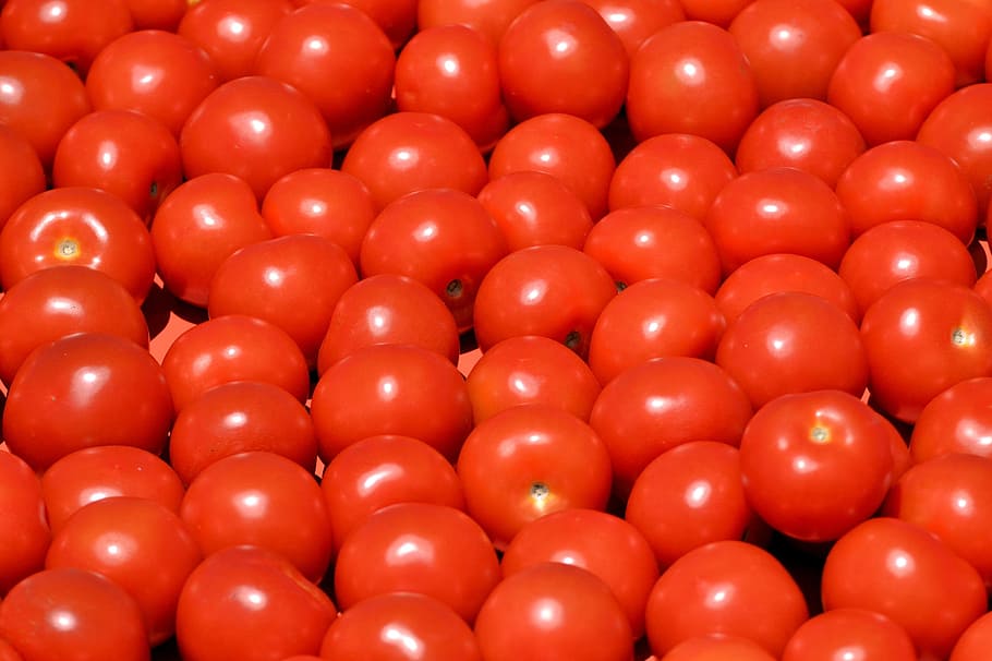 Tomatoes, Fresh, Vegetables, Healthy, farmers market, nutrition