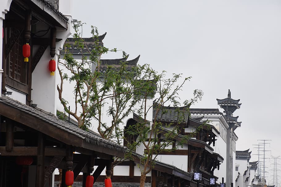 tree, eaves, ancient architecture, built structure, building exterior HD wallpaper
