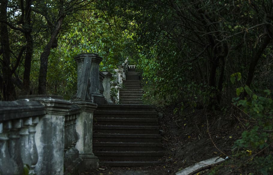 architecture, ladder, spring, junk, tree, plant, staircase HD wallpaper