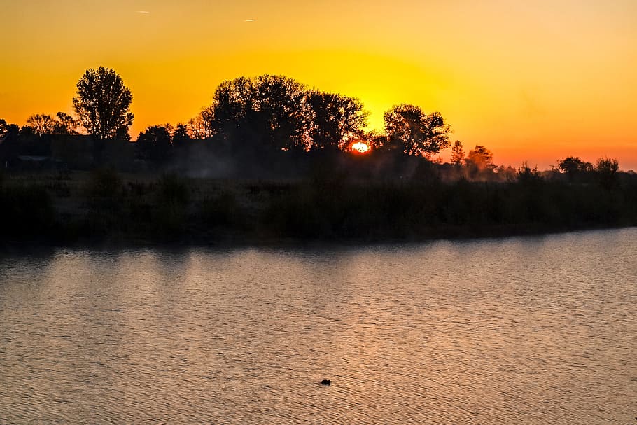 Landscape, Pond, Sun, Twilight, sunset, tree, reflection, nature HD wallpaper
