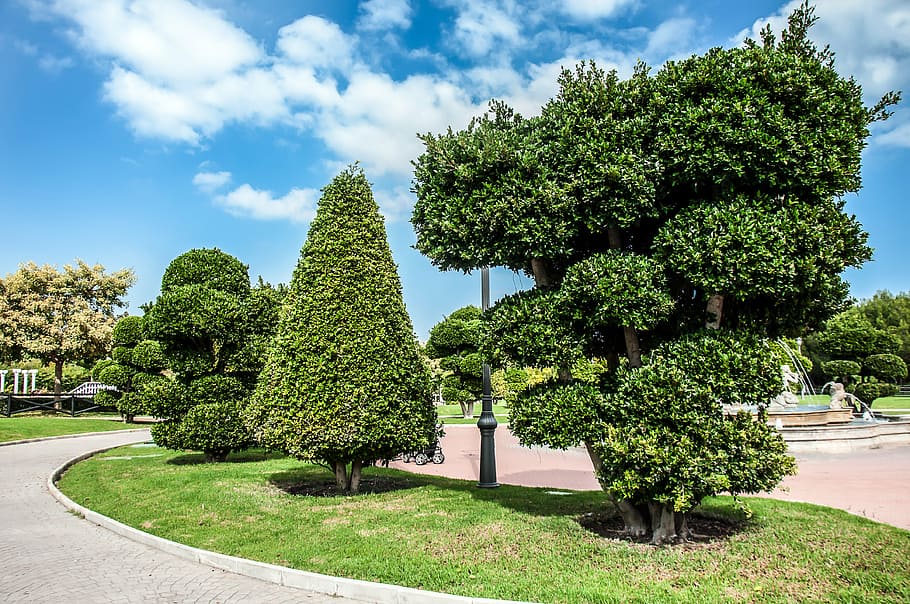 park, plants set, trees, green color, topiary, nature, sky HD wallpaper