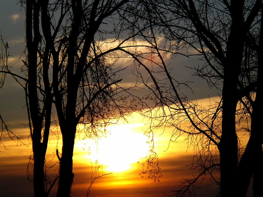 sun, sky, red, cloud, tree, twigs, east, sunset, scenics - nature HD wallpaper