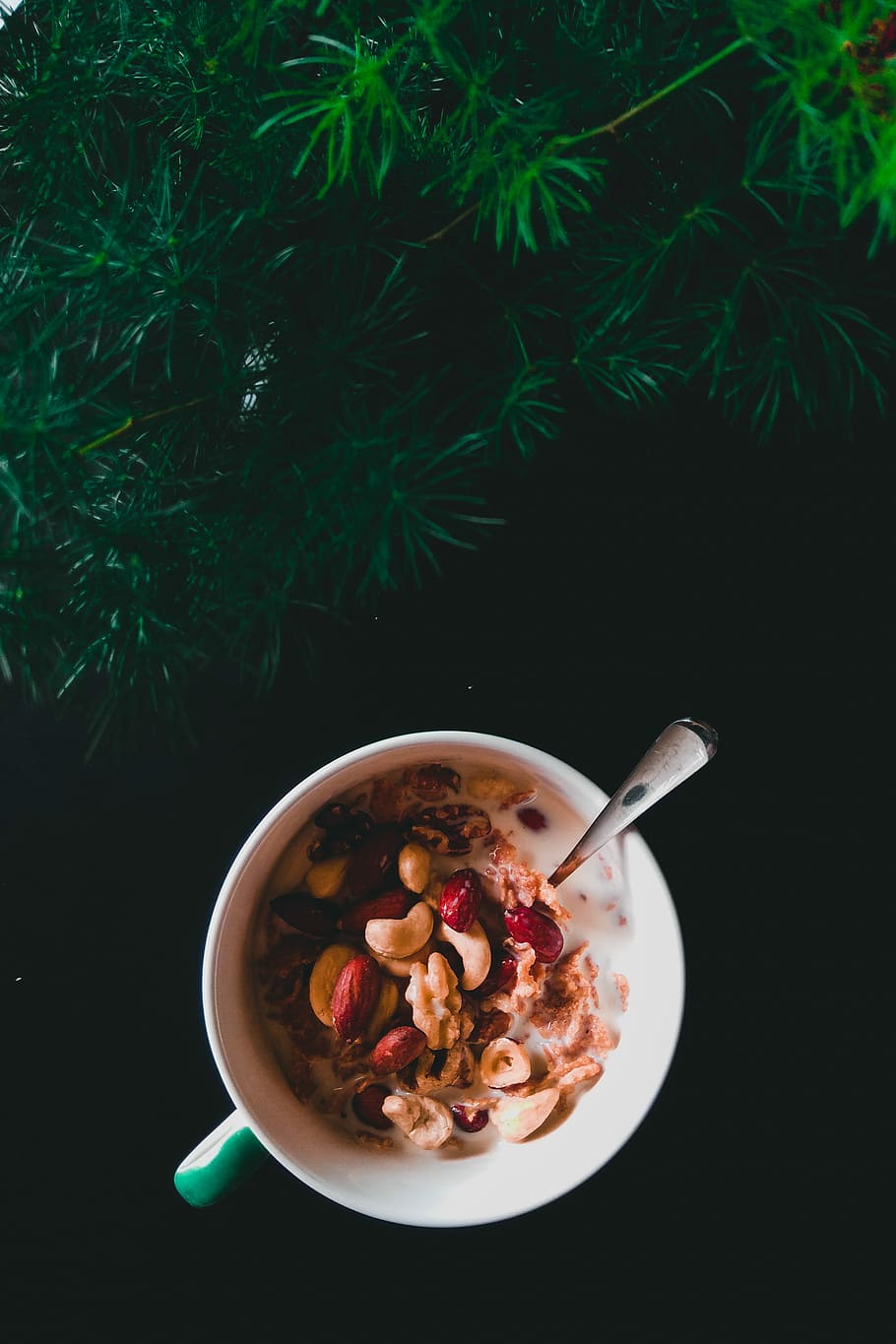mug with nuts and milk, assorted peanuts on bowl near green grass HD wallpaper