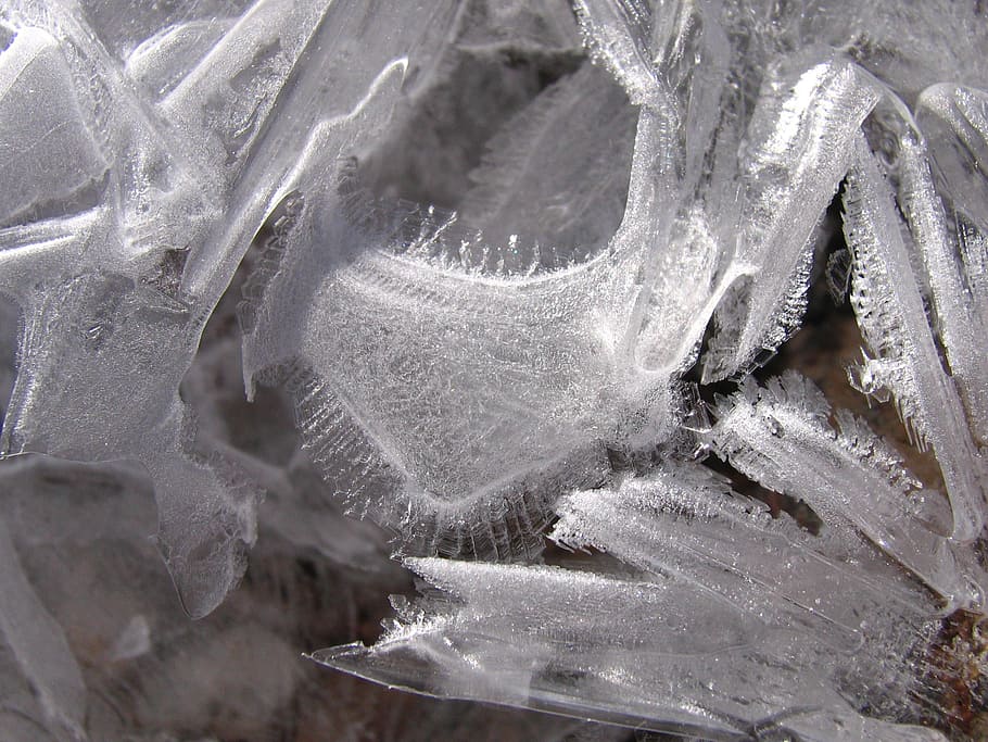 salt, nature, macro, glass, ice, frozen, frost, winter, ice Crystal