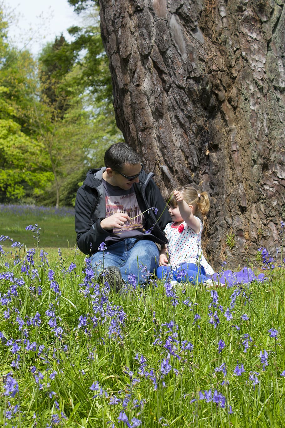 man beside girl sitting beside tree, father, daughter, bluebells, HD wallpaper