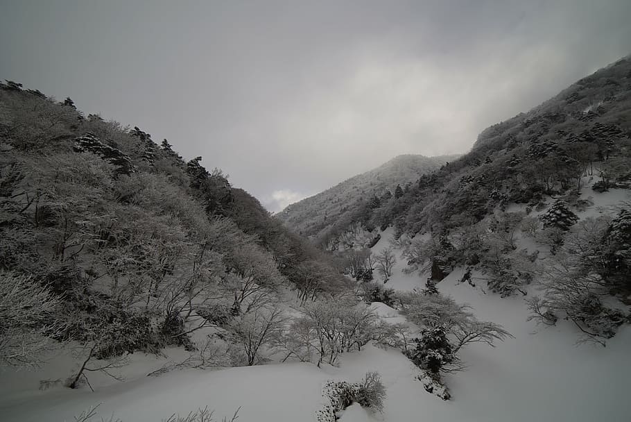 snowfield, mountain, halla, landscape, winter, snow mountain HD wallpaper