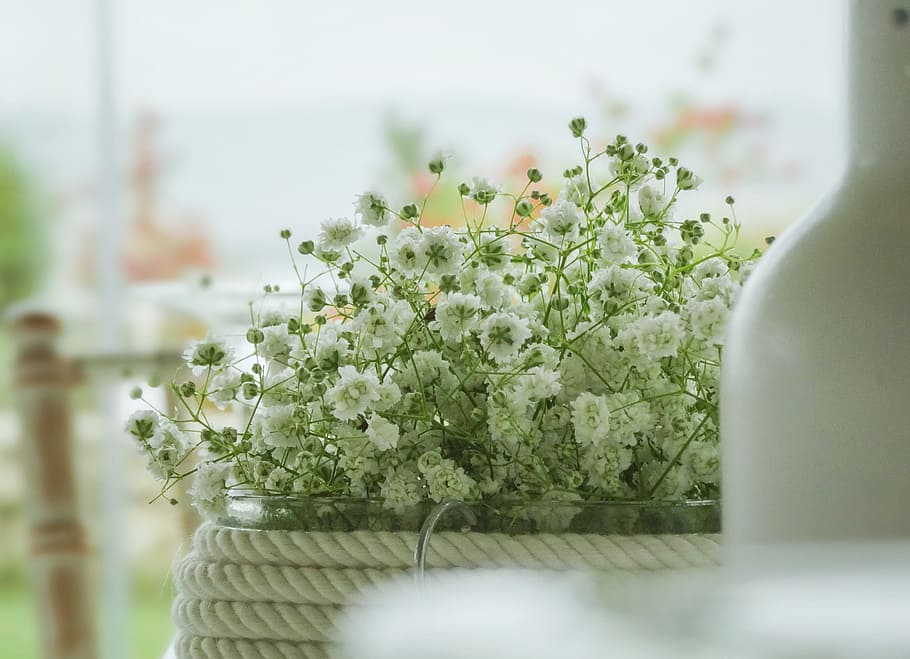 white and green flowers, diner, restaurant, floral, decorative, HD wallpaper