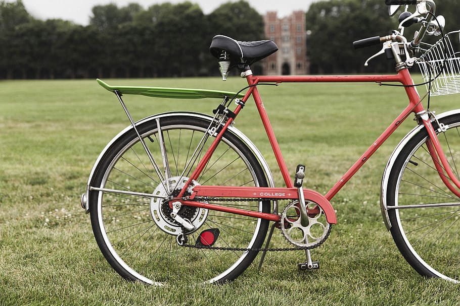 Bicycle, Calm, Life, grass, green color, field, transportation HD wallpaper