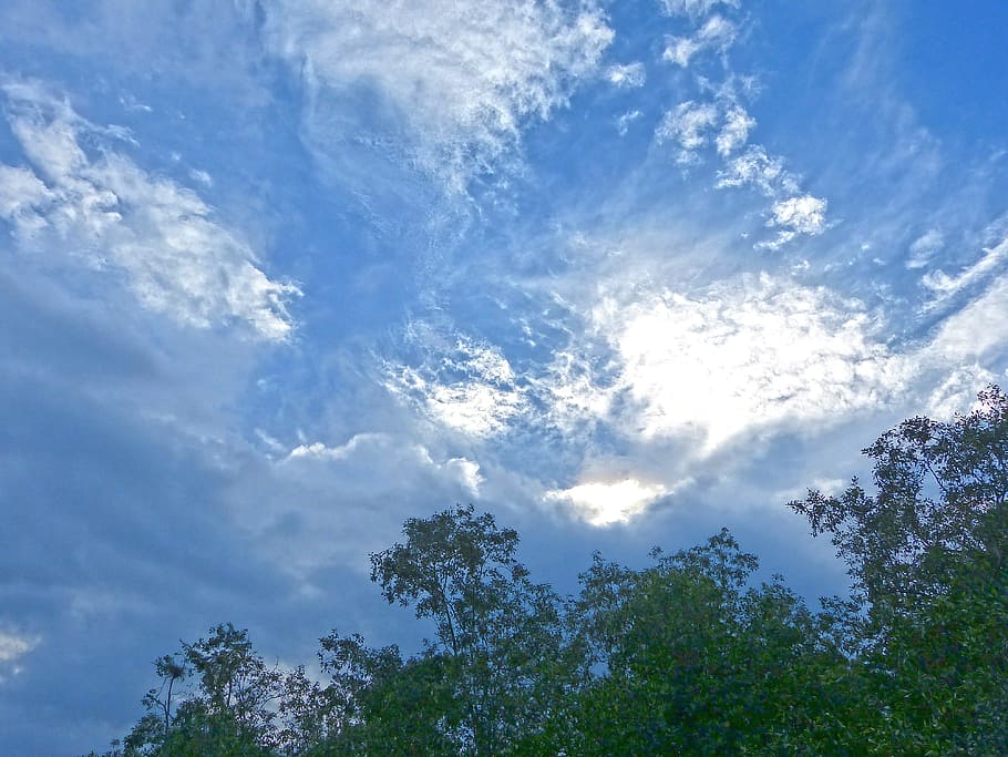 Branches, Trees, Clouds, Outdoors, sky, scenic, tranquil, weather HD wallpaper
