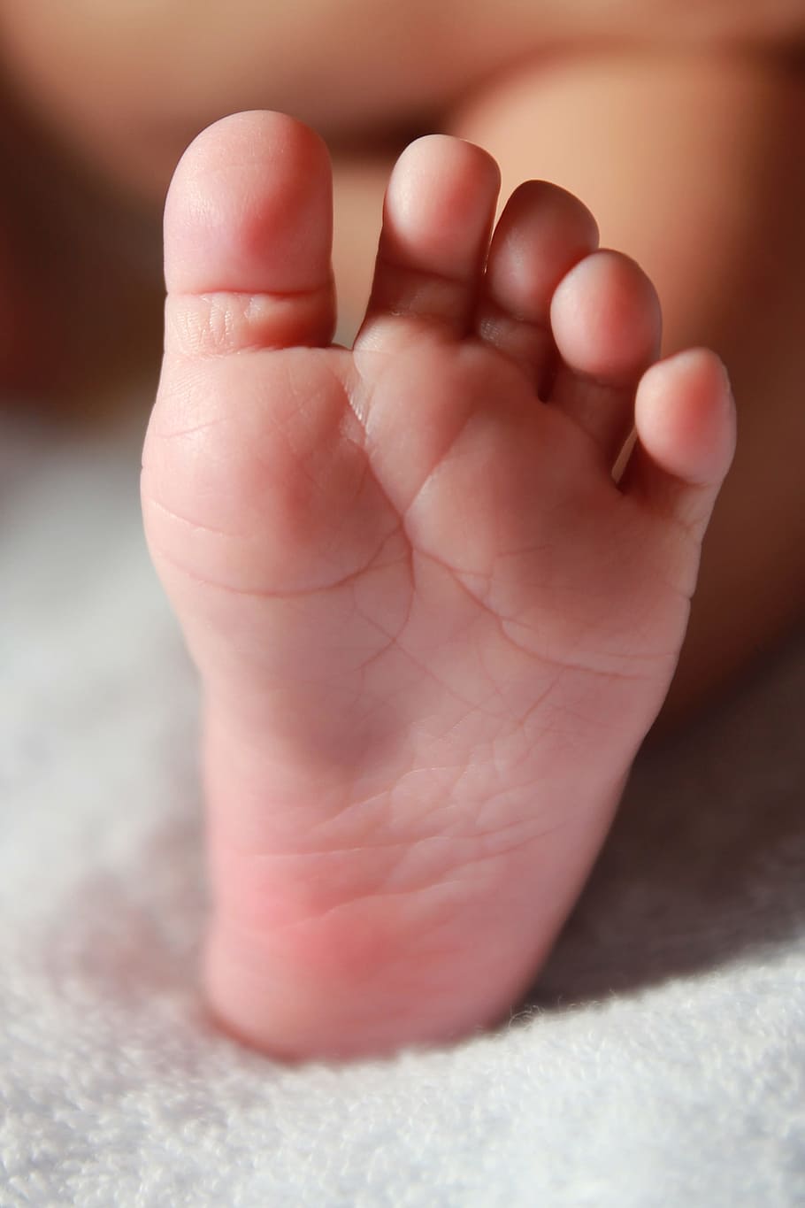 left person's foot, Newborn, Infant, Leg, baby foot, child, small, HD wallpaper